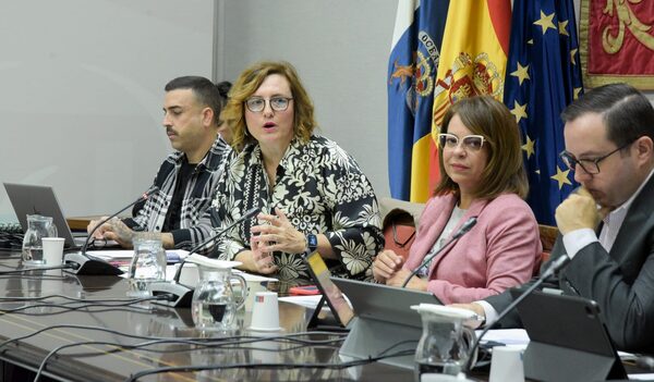 Bienestar Social del Gobierno de Canarias invertirá este año dos millones de euros en fomentar la empleabilidad de jóvenes con cualificación