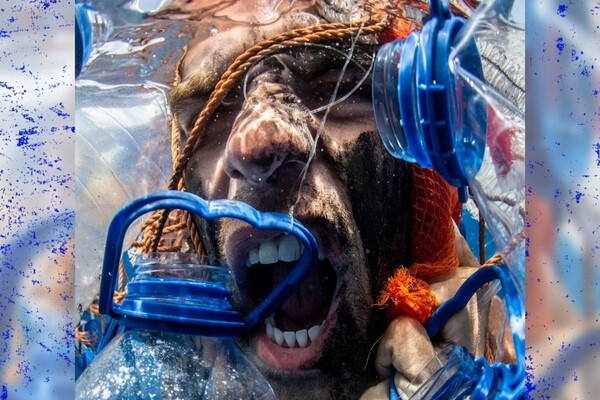 La Casa de Colón acoge la exposición fotográfica ‘Gritos del Azul’, de Cristina Camacho