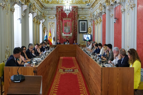Las Palmas de Gran Canaria aprueba una declaración conjunta en favor de la unidad en la lucha contra la violencia de género