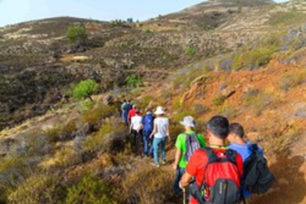 Tenerife recupera el Camino Viejo de Candelaria para la peregrinación