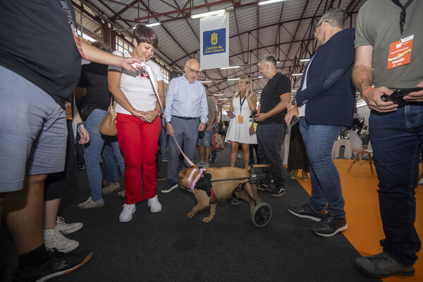 Animundo abre sus puertas en busca de adopciones para toda la vida