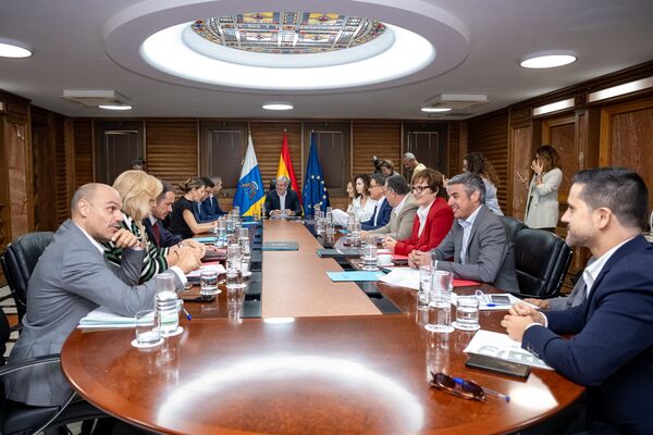 Canarias reformará la ley para recoger nuevas formas de hacer voluntariado de las islas