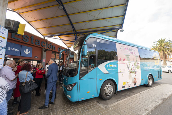 Reordenados los recorridos de las líneas 101, 103, 130 y 325 de Global en Agaete para mejorar el servicio y la movilidad en el casco
