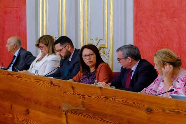 Las Palmas de Gran Canaria dobla la inversión en Bienestar Social desde 2015 hasta los 32 millones de euros Carmen Luz Vargas, concejala de Servicios Sociales de Las Palmas de Gran Canaria, durante un pleno