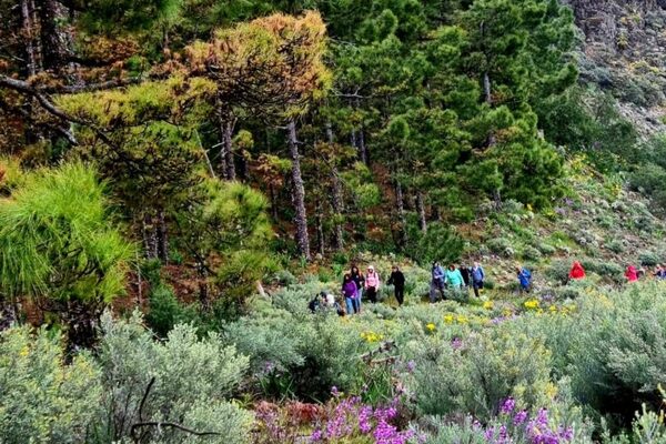 Presentada la temporada 2025 del programa de senderismo ‘Teror patea por Gran Canaria’