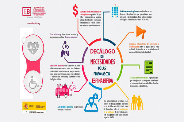 FEBHI y sus asociaciones trabajan para actualizar el Decálogo de necesidades del colectivo de personas con espina bífida