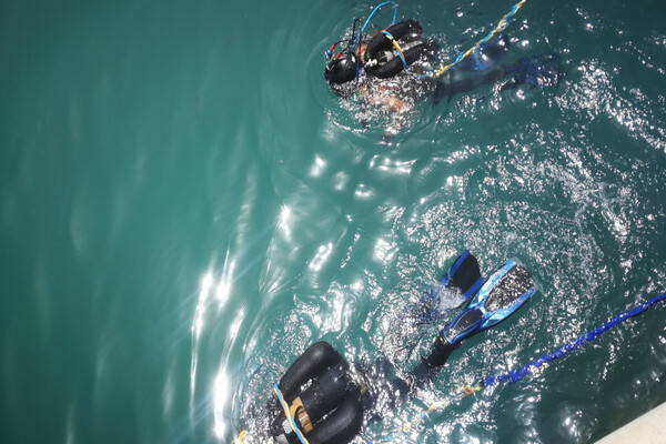 Mogán ofrece formación gratuita en economía verde, azul y digital