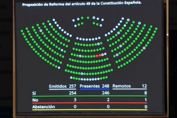 Plena inclusión reclama “que se pase de las palabras a los derechos”