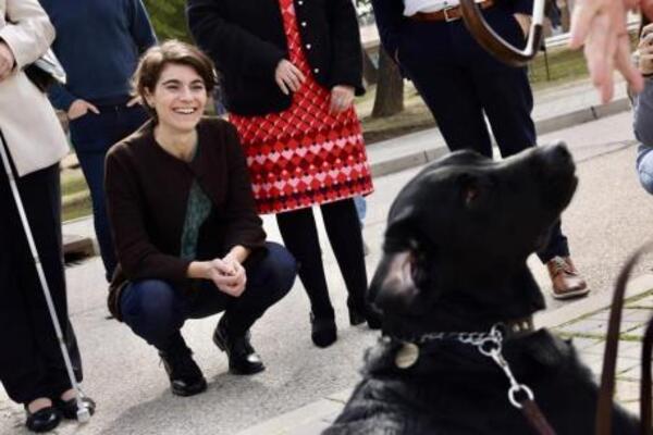 España garantizará que las personas con discapacidad accedan con sus perros de asistencia a espacios de uso público