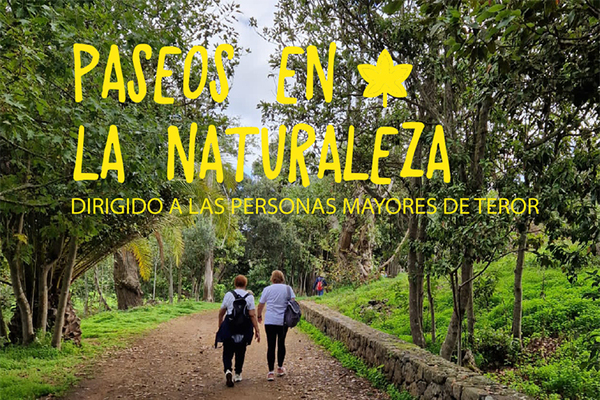 El área de Mayores de Teror organiza el 26 de marzo un nuevo ‘Paseo en la Naturaleza’ hasta la Finca de Osorio