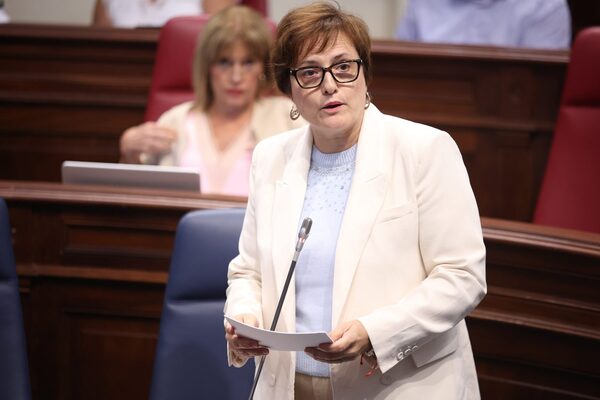 Delgado exige al Estado que reconozca la financiación de los cabildos al sistema de dependencia en Canarias