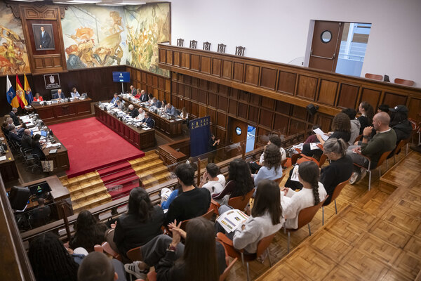 Gran Canaria demanda al Gobierno de España que la UME sea movilizada en cualquier nivel de emergencia de incendios y protección civil