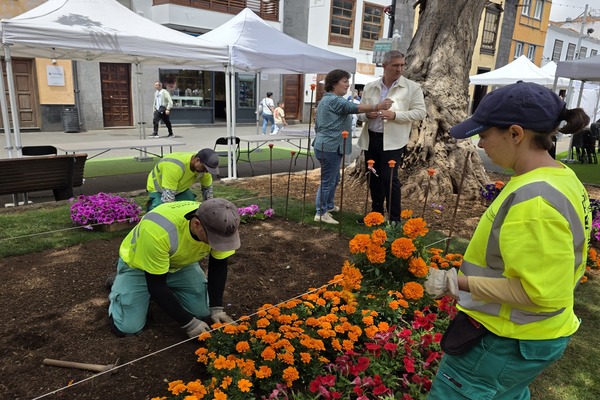 La Laguna vuelve a vestir con los colores del Orgullo los jardines de la plaza de la Concepción