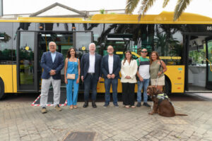 Guaguas Municipales facilita el acceso de perros de asistencia y afianza su apuesta por la accesibilidad