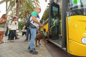 Guaguas Municipales facilita el acceso de perros de asistencia y afianza su apuesta por la accesibilidad