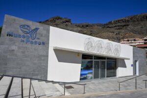 Mogán presenta el Museo de la Pesca, un homenaje a la tradición marinera del municipio 3 Mogán presenta el Museo de la Pesca, un homenaje a la tradición marinera del municipio