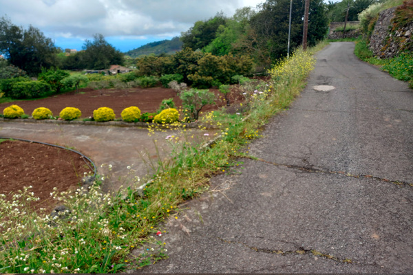 Valleseco aprueba las obras del Plan de Cooperación del Cabildo 2026 que permitirá obras de mejora
