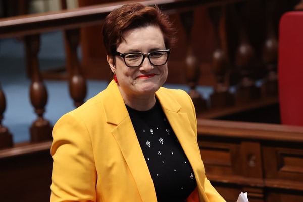 Canarias impulsa un cambio estructural en sus subvenciones para dar seguridad al Tercer Sector Candelaria Delgado, consejera