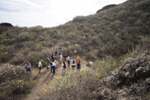 El vértigo de la verdad: Gran Canaria se asoma a la justicia histórica en la Sima de Jinámar