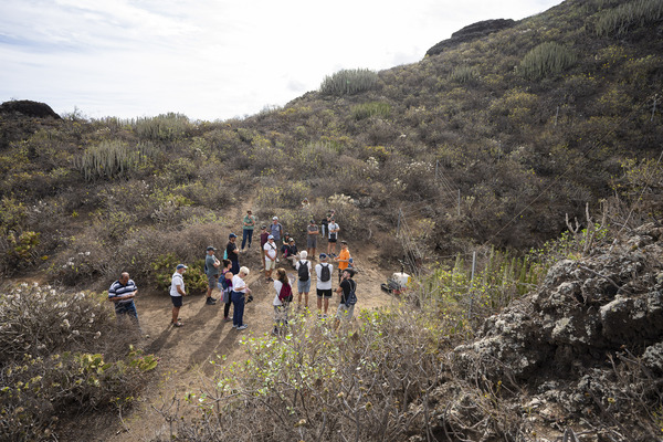 El vértigo de la verdad: Gran Canaria se asoma a la justicia histórica en la Sima de Jinámar El vértigo de la verdad: Gran Canaria se asoma a la justicia histórica en la Sima de Jinámar