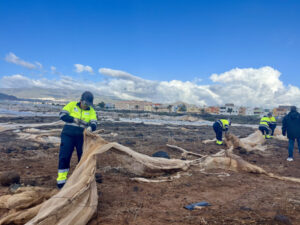 El Cabildo de Gran Canaria limpia de invernaderos 75 hectáreas, lo mismo que 100 campos de fútbol, en las inmediaciones del Aeropuerto