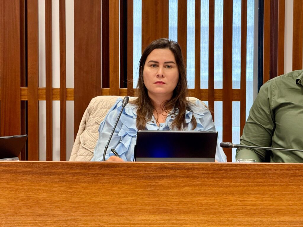 El Cabildo de La Palma liderará el trabajo con los ayuntamientos de la isla para incentivar el uso responsable de la pirotecnia