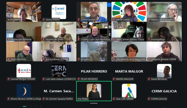 Los CERMIS Autonómicos conmemorarán en sus territorios el 20º aniversario de la Convención ONU de Discapacidad Los CERMIS Autonómicos conmemorarán en sus territorios el 20º aniversario de la Convención ONU de Discapacidad