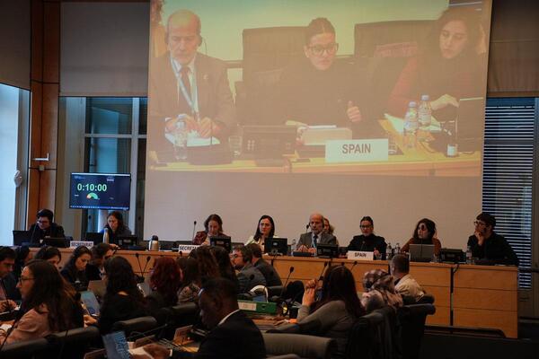 Rego defiende ante la ONU ampliar la ley “para que ningún niño o niña tenga que vivir con un progenitor maltratador” Rego defiende ante la ONU ampliar la ley "para que ningún niño o niña tenga que vivir con un progenitor maltratador"