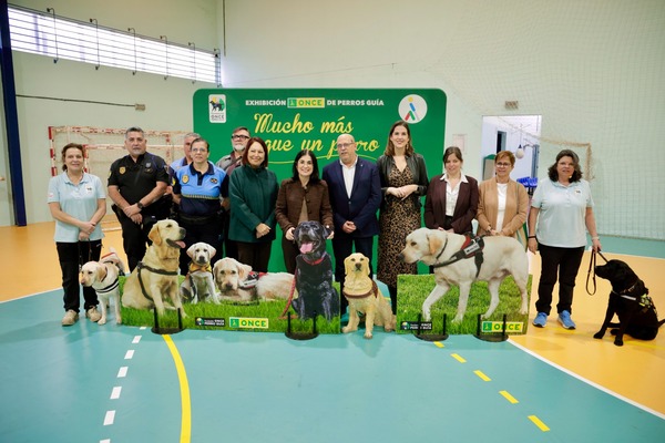 Las Palmas de Gran Canaria refuerza su compromiso con la accesibilidad junto a la Fundación ONCE del Perro Guía Las Palmas de Gran Canaria refuerza su compromiso con la accesibilidad junto a la Fundación ONCE del Perro Guía