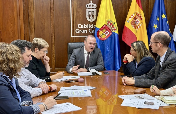 El Cabildo y el Ayuntamiento de Ingenio acuerdan desarrollar de forma coordinada el proyecto de mejora peatonal de la GC-100 El Cabildo y el Ayuntamiento de Ingenio acuerdan desarrollar de forma coordinada el proyecto de mejora peatonal de la GC-100