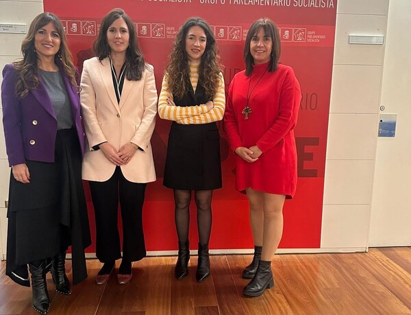 Reforma de la Ley de Discapacidad y Dependencia: Autismo España reclama transparencia y nuevos criterios Reunión de Autismo España con el Grupo Socialista