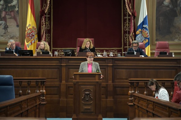 Sistema de dependencia Canarias: el Parlamento convalida el decreto por unanimidad La consejera Candelaria Delgado durante una intervención en el Parlamento de Canarias