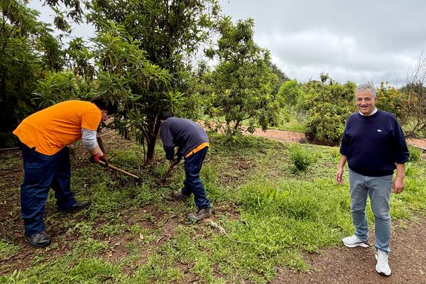 Canarias financiará proyectos que deberán conseguir empleo para personas con discapacidad Inserción laboral para personas con discapacidad en Canarias