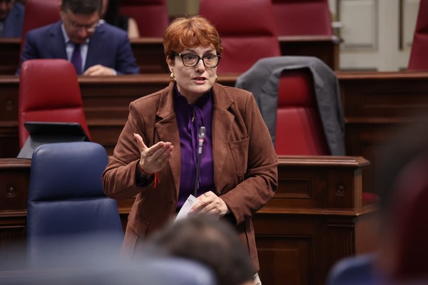 Canarias destina siete millones de euros a programas para personas vulnerables y en riesgo de exclusión Candelaria Delgado, consejera