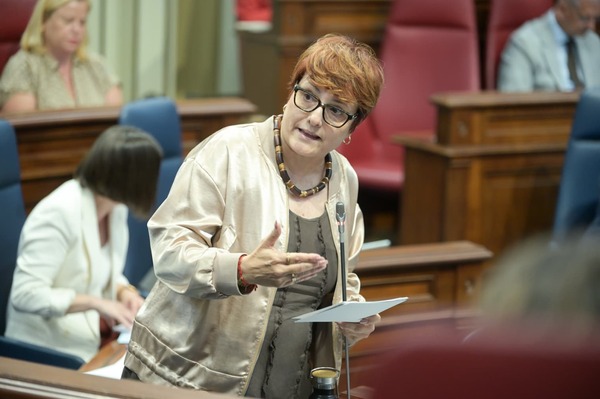 Canarias impulsa un protocolo para agilizar la atención a personas dependientes en situaciones de urgencia La consejera Candelaria Delgado durante una sesión parlamentaria