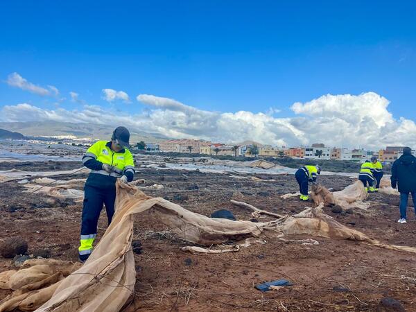 La limpieza de invernaderos abandonados genera empleo para 65 personas en Gran Canaria Plan de Empleo Invernaderos