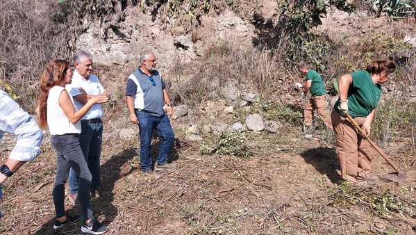 16 personas desempleadas podrán formarse y trabajar en el sector agrario gracias a un nuevo programa del Cabildo El consejero Juan Díaz en otro Plan de Empleo junto a FORESTA